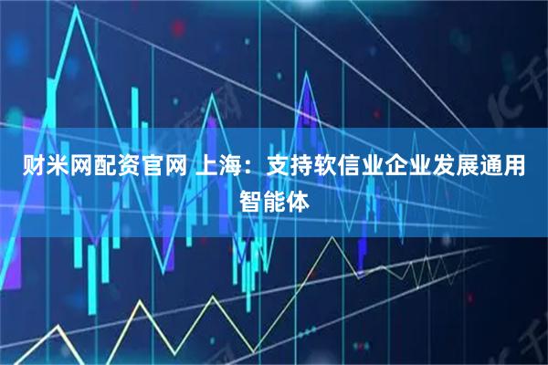 財米網(wǎng)配資官網(wǎng) 上海：支持軟信業(yè)企業(yè)發(fā)展通用智能體